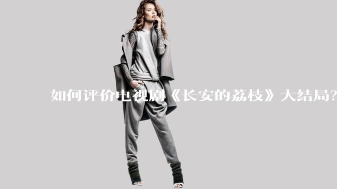 如何评价电视剧《长安的荔枝》大结局？